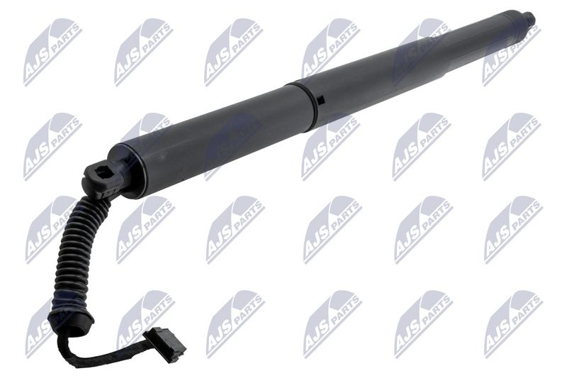 NTY AE-BM-120 Gas Spring, boot/cargo area