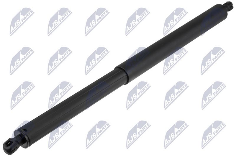 NTY AE-BM-145 Gas Spring, boot/cargo area