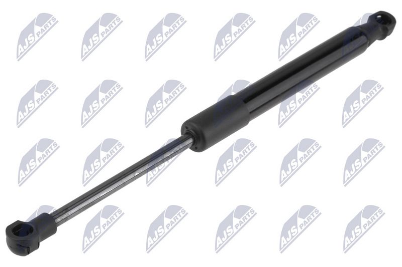 NTY AE-BM-149 Gas Spring, bonnet