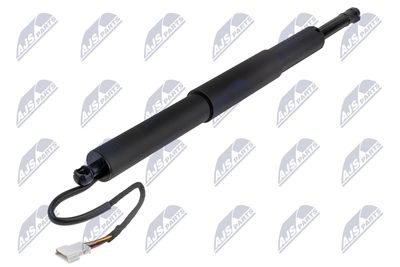 Gas Spring, boot/cargo area NTY AE-BM-157