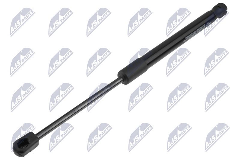 NTY AE-BM-160 Gas Spring, bonnet