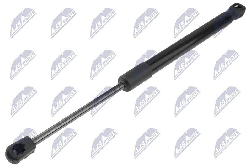 NTY AE-BM-161 Gas Spring, bonnet