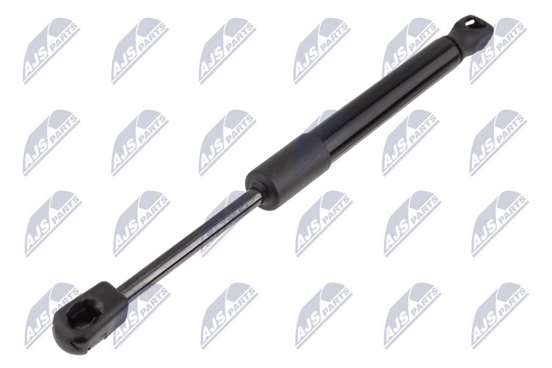 NTY AE-BM-162 Gas Spring, bonnet