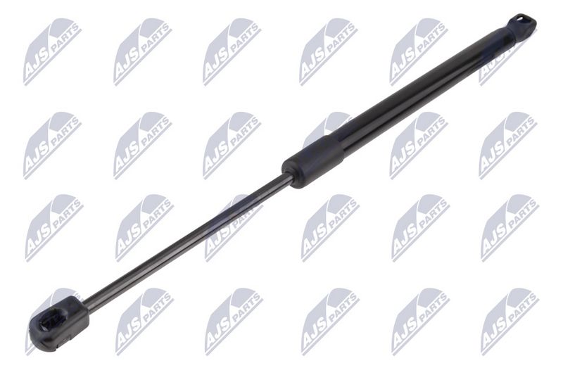 NTY AE-BM-166 Gas Spring, bonnet