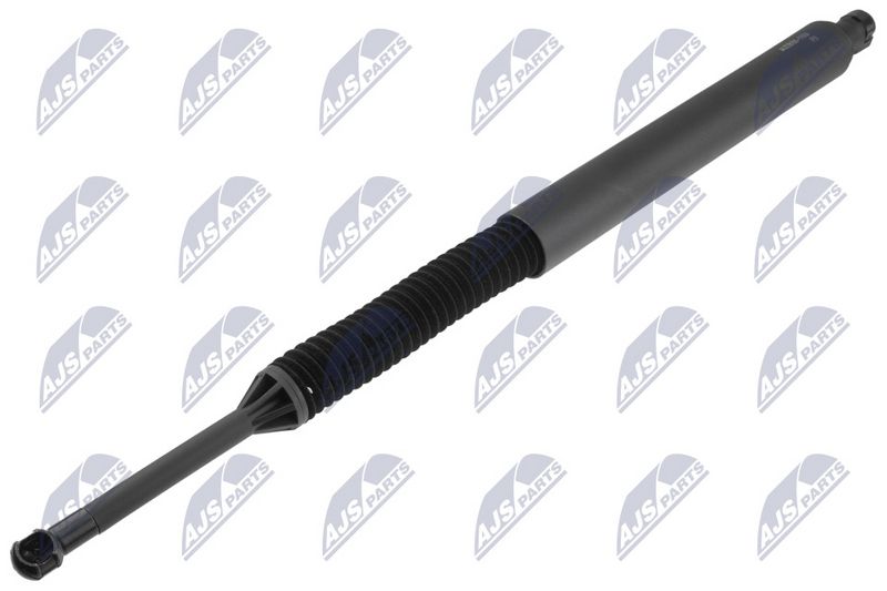 NTY AE-BM-169 Gas Spring, boot/cargo area