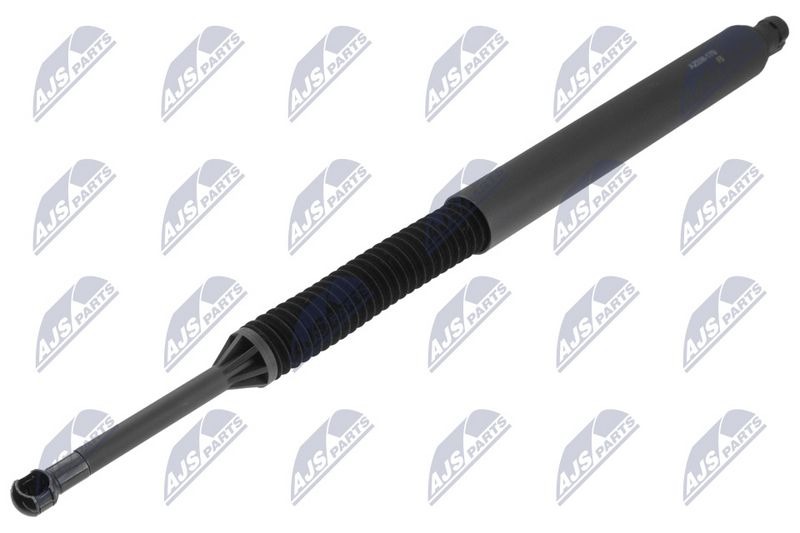 NTY AE-BM-170 Gas Spring, boot/cargo area
