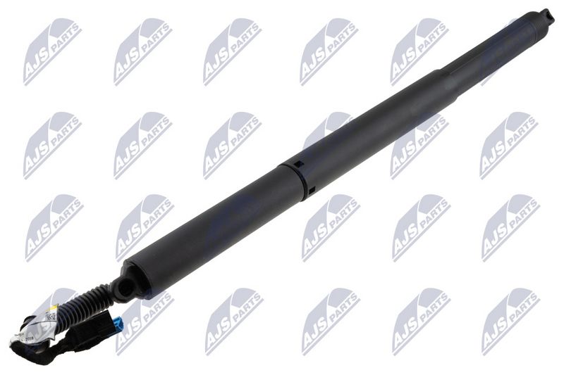 NTY AE-BM-171 Gas Spring, boot/cargo area
