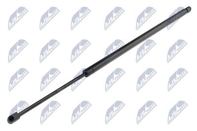 Gas Spring, boot/cargo area NTY AE-CH-003