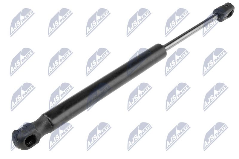 NTY AE-CH-005 Gas Spring, boot/cargo area