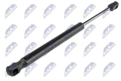 Gas Spring, boot/cargo area NTY AE-CH-005