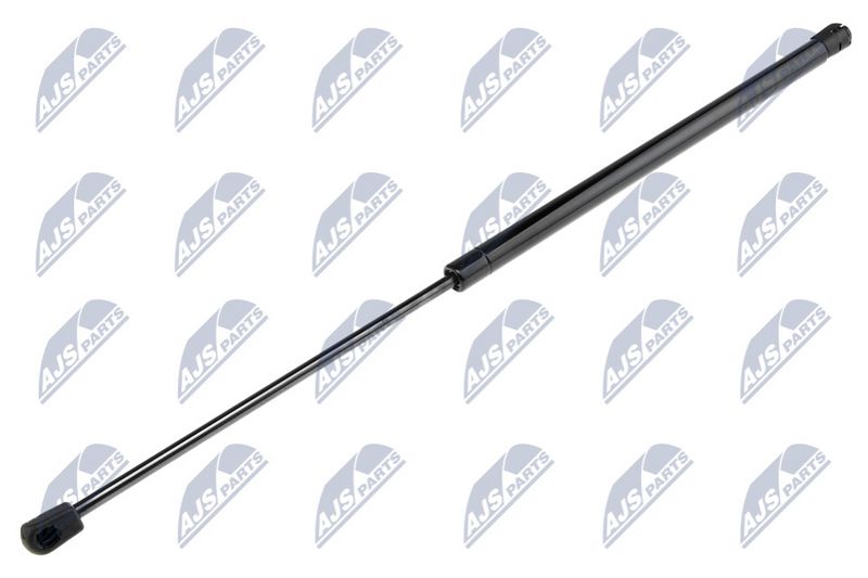NTY AE-CH-008 Gas Spring, boot/cargo area