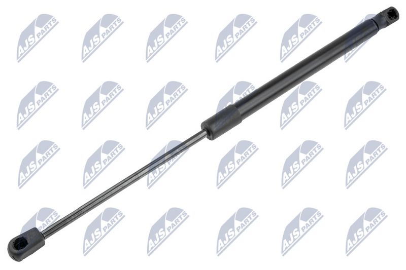 NTY AE-CH-010 Gas Spring, boot/cargo area