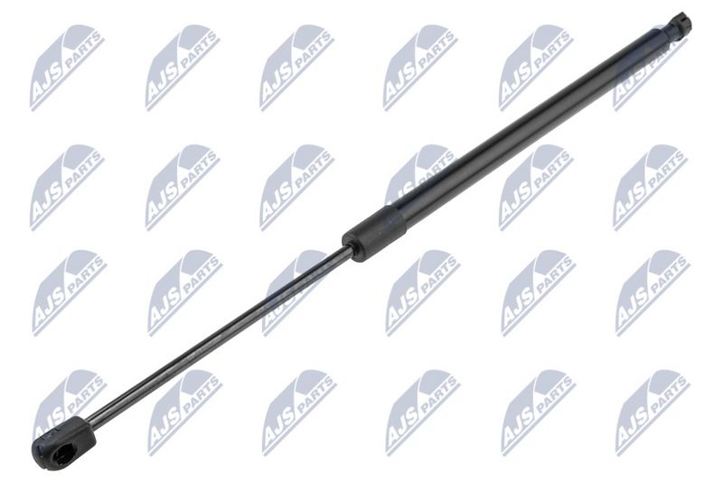 NTY AE-CH-012 Gas Spring, boot/cargo area