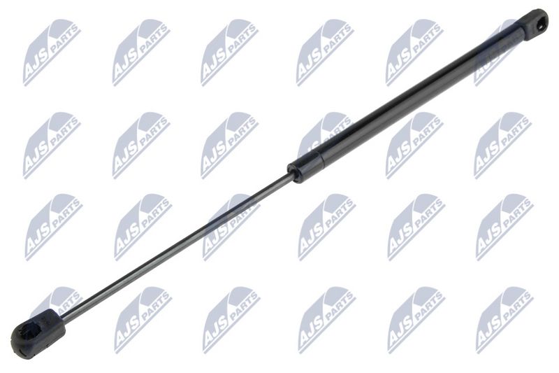 NTY AE-CH-014 Gas Spring, boot/cargo area