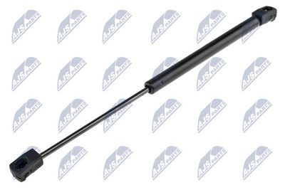 Gas Spring, bonnet NTY AE-CH-016