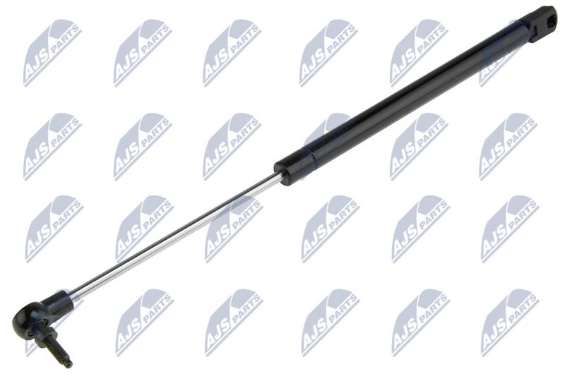 NTY AE-CH-019 Gas Spring, boot/cargo area
