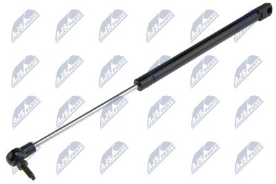 Gas Spring, boot/cargo area NTY AE-CH-019