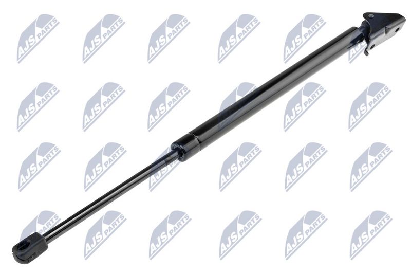 NTY AE-CH-020 Gas Spring, boot/cargo area