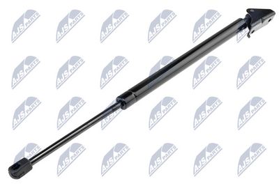 Gas Spring, boot/cargo area NTY AE-CH-020