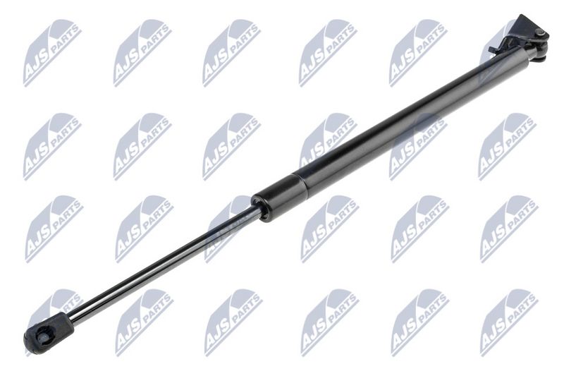 NTY AE-CH-021 Gas Spring, boot/cargo area