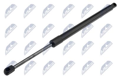 Gas Spring, boot/cargo area NTY AE-CH-023