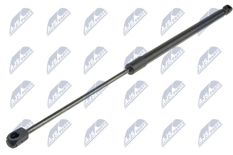 NTY AE-CH-038 Gas Spring, boot/cargo area