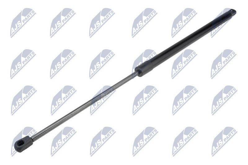 NTY AE-CH-041 Gas Spring, boot/cargo area