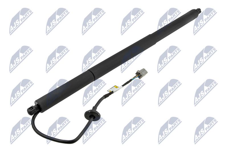 NTY AE-CH-048 Electric Motor, tailgate