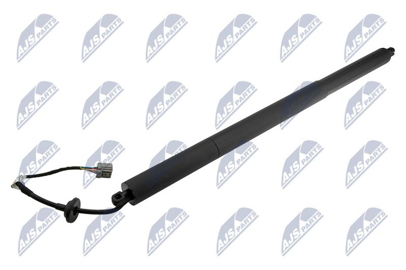 NTY AE-CH-049 Gas Spring, boot/cargo area