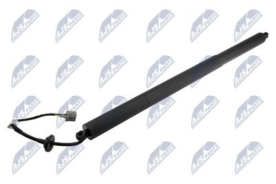 Gas Spring, boot/cargo area NTY AE-CH-049