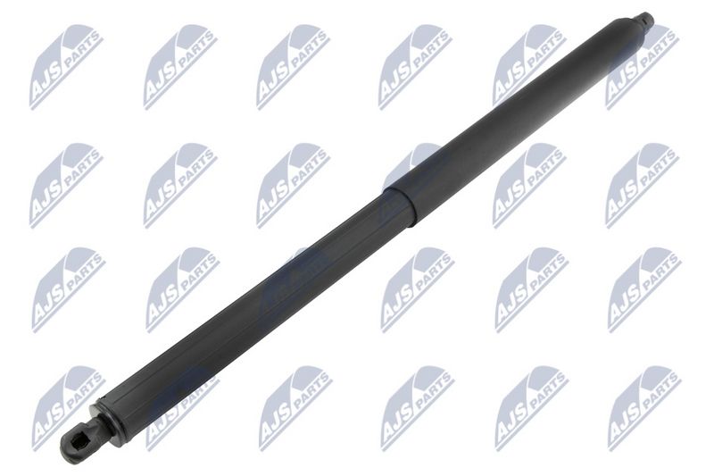 NTY AE-CH-058 Gas Spring, boot/cargo area