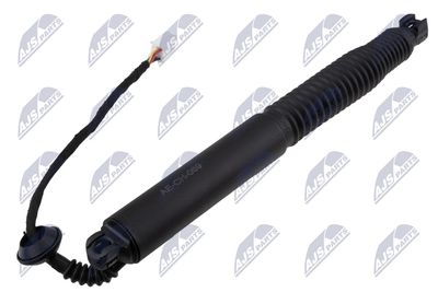 Electric Motor, tailgate NTY AE-CH-069