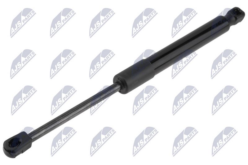NTY AE-CH-077 Gas Spring, boot/cargo area