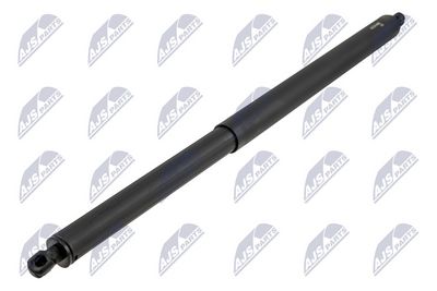 Gas Spring, boot/cargo area NTY AE-CH-080
