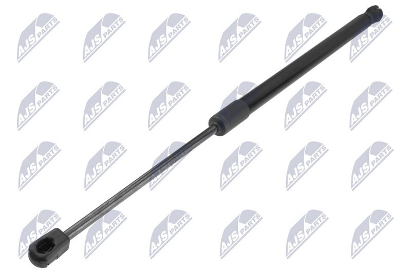 NTY AE-CH-090 Gas Spring, boot/cargo area