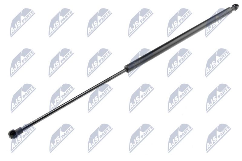 NTY AE-CT-000 Gas Spring, boot/cargo area