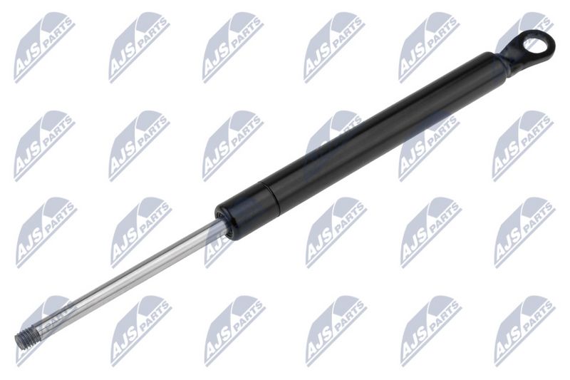 NTY AE-CT-008 Gas Spring, boot/cargo area