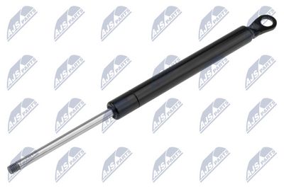Gas Spring, boot/cargo area NTY AE-CT-008