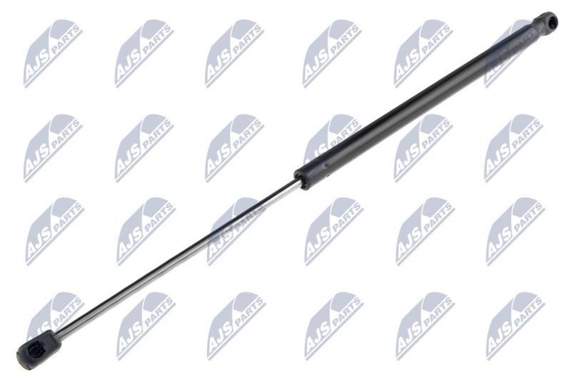 NTY AE-CT-012 Gas Spring, boot/cargo area