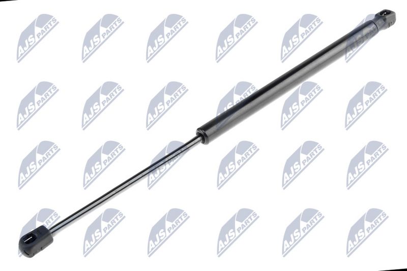 NTY AE-CT-014 Gas Spring, boot/cargo area