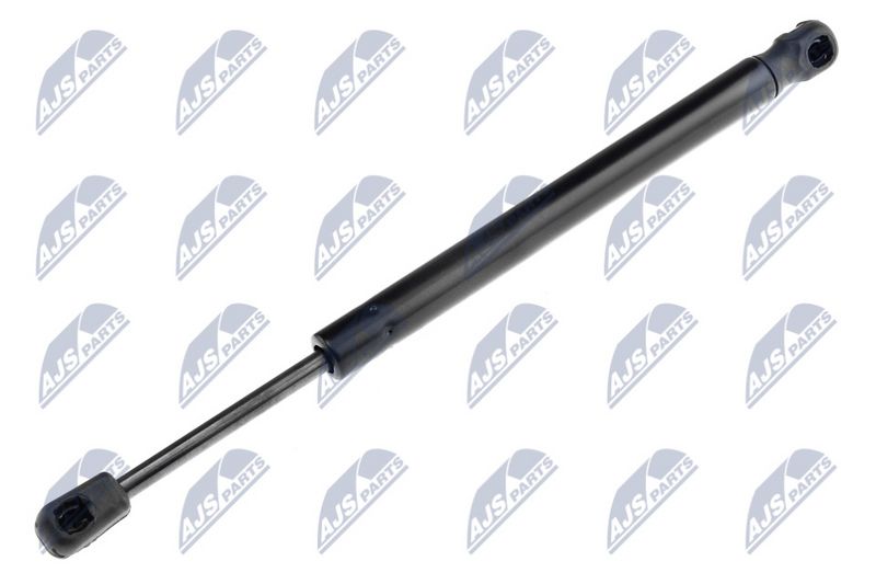 NTY AE-CT-015 Gas Spring, boot/cargo area