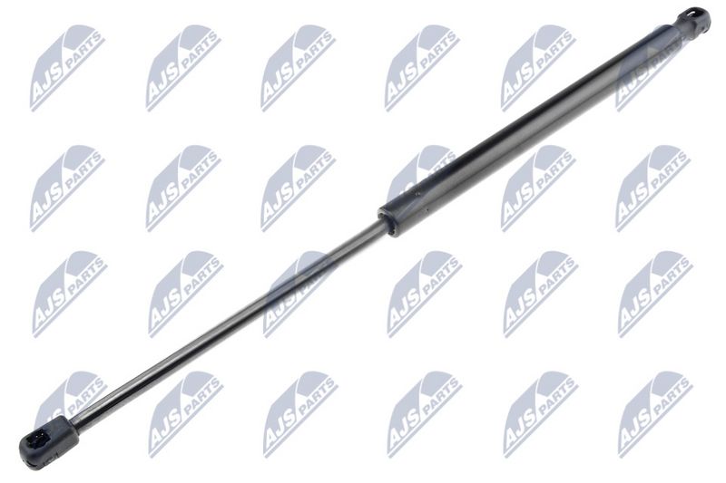 NTY AE-CT-031 Gas Spring, boot/cargo area