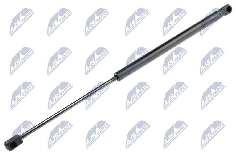 NTY AE-CT-042 Gas Spring, boot/cargo area