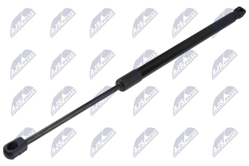 NTY AE-CT-063 Gas Spring, boot/cargo area