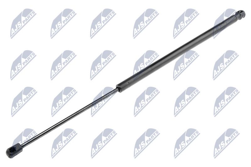 NTY AE-DW-005 Gas Spring, boot/cargo area