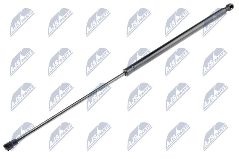 NTY AE-DW-007 Gas Spring, boot/cargo area