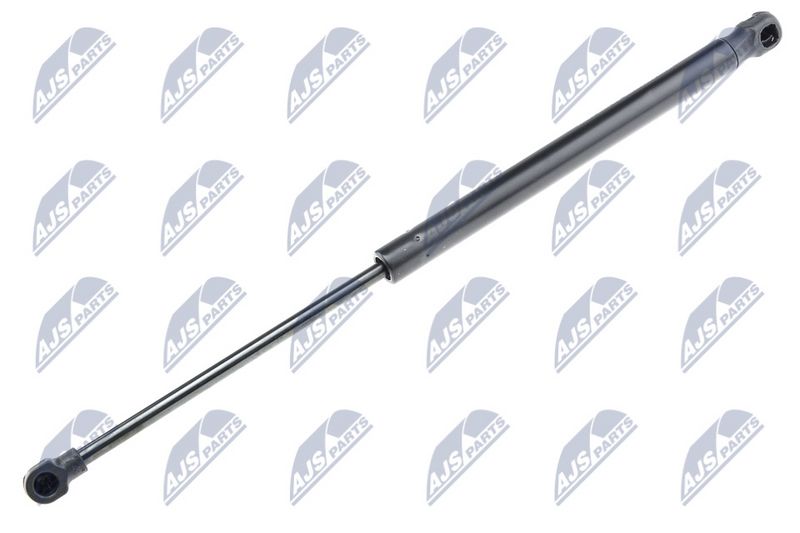 NTY AE-DW-013 Gas Spring, boot/cargo area