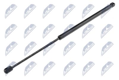 Gas Spring, boot/cargo area NTY AE-FR-000