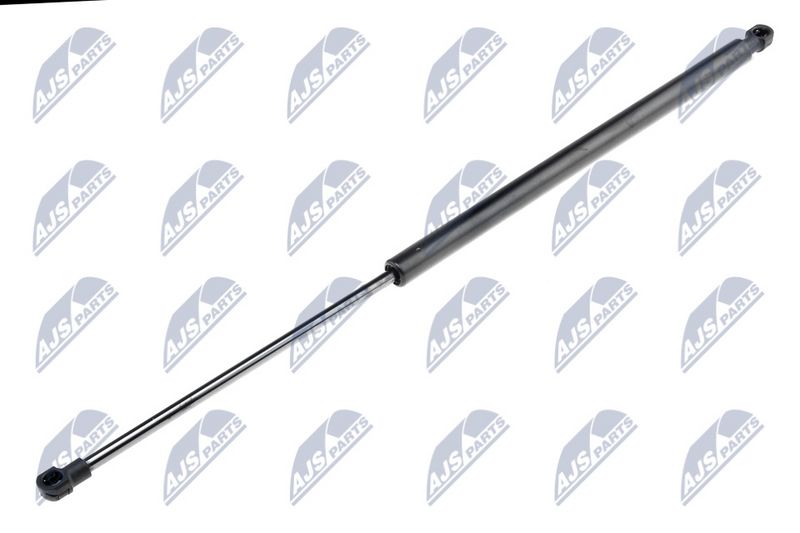 NTY AE-FR-001 Gas Spring, boot/cargo area