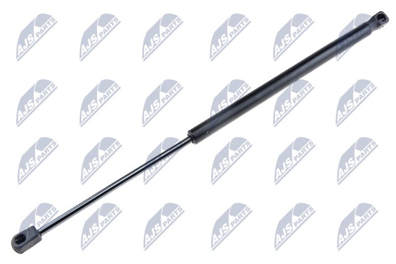 NTY AE-FR-005 Gas Spring, boot/cargo area